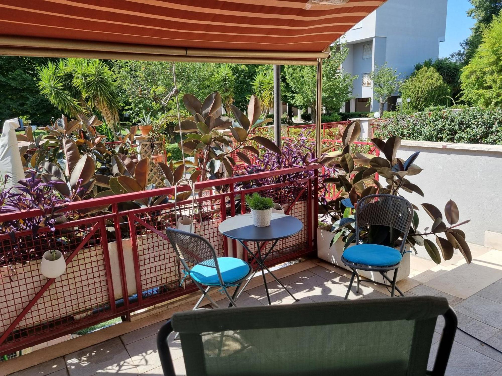 Intero Appartamento Con Giardino E Parcheggio Roma Esterno foto